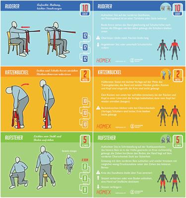 Evaluation of the Implementation of a Home-Based Exercise Training Program for People With COPD: A Mixed-Methods Study
